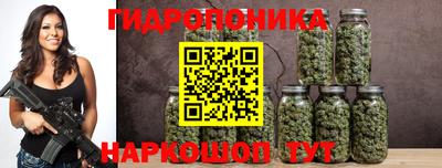 a pvp Можга