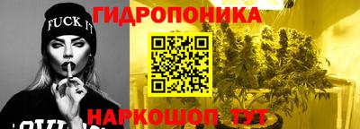 a pvp Можга