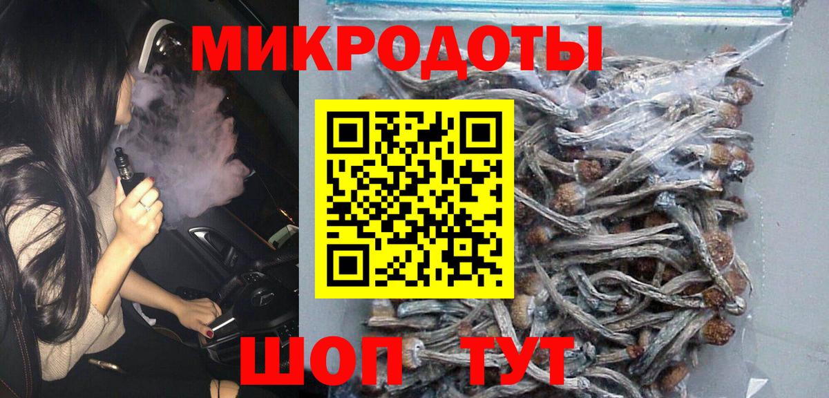 Галлюциногенные грибы Psilocybe  Вход с VPN  Свободный 