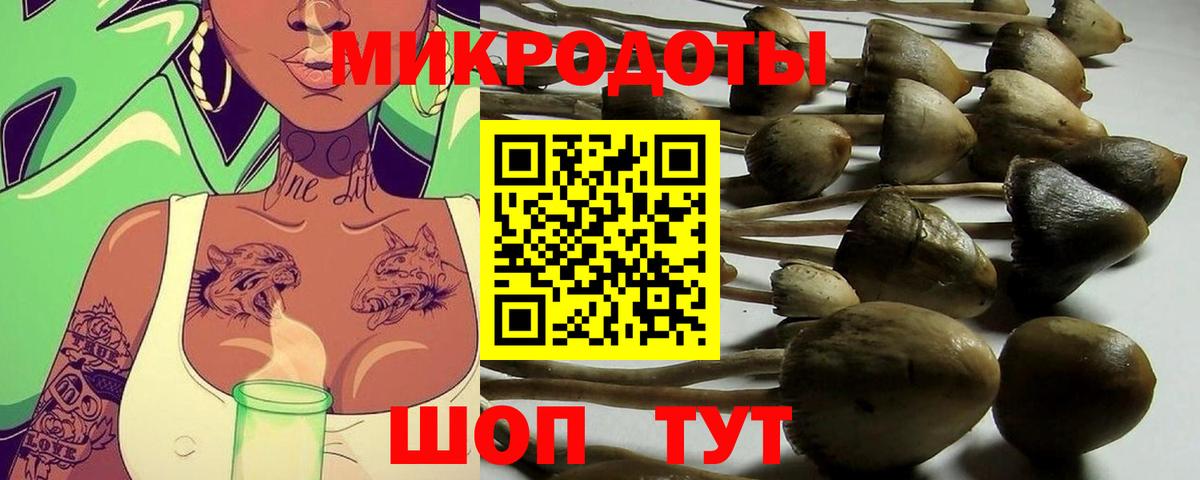 Псилоцибиновые грибы мицелий Свободный